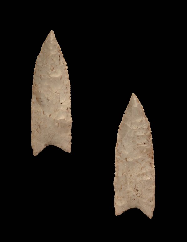 2 3/4" Wheeler. Smith Co, TN. Paleo. Rogers Pap: 206. 2 3/4" Wheeler. Smith Co, TN. Rogers Paper. Glossy White Flint. Nice