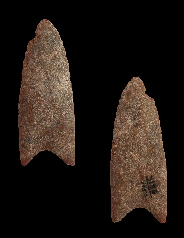 2 3/4" Clovis. Sauk Co, WI. Davis, Perino, Putty: 2 3/4" Clovis. Sauk Co, WI. Davis, Perino, Putty COA's. Quartzite