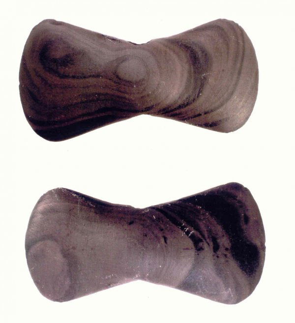 3 1/2" Bowtie Bannnerstone. Wood Co, OH. Brown S: 3 1/2" Bowtie Bannnerstone. Wood Co, OH. Brown Slate. Rare example. Graceful and well made. Fully drilled. Putty COA