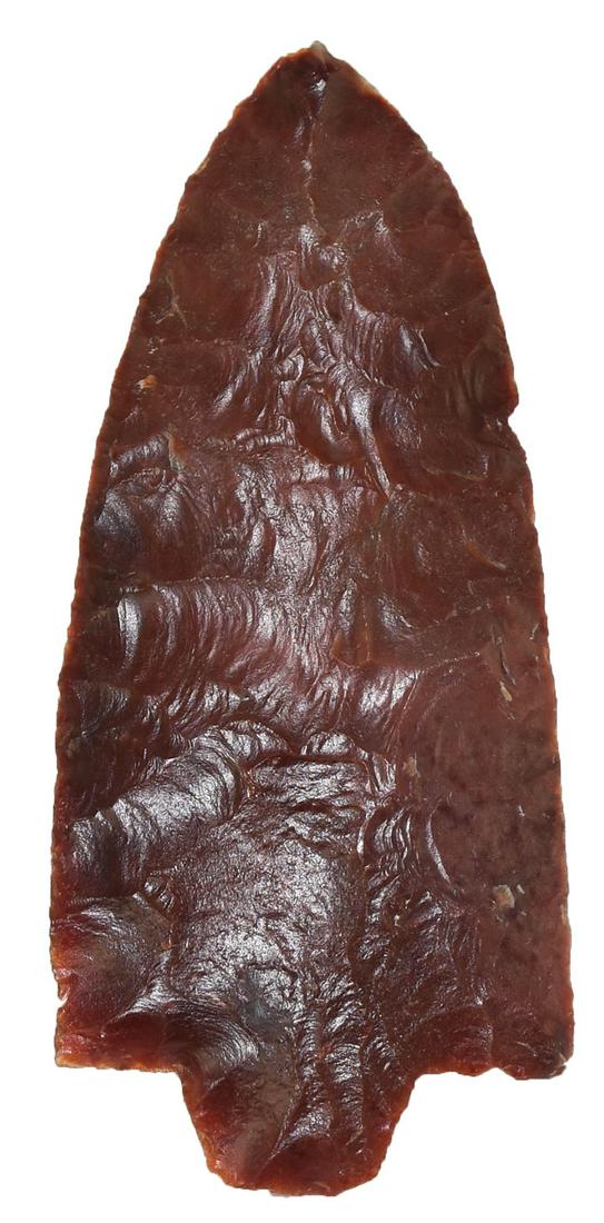 3 5/8" Pasco. Tatum COA. Pasco Co, FL. Blood red (1 of 5)