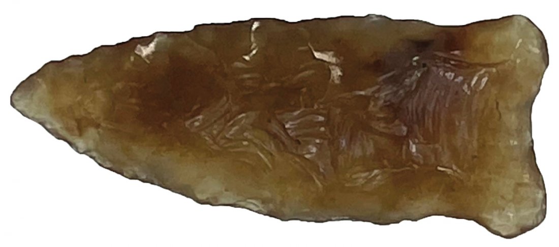 1 3/8" Pryor Stemmed. Rogers COA. NE. Translucent Amber (1 of 4)