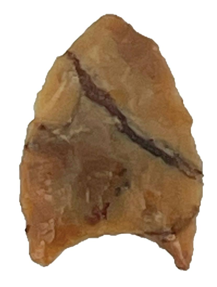 15/16" Midland. TX. Translucent Agate. Rogers COA. (1 of 3)