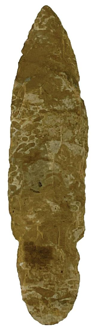 3 3/4" Turkeytail. KY. Ft. Payne Chert. Ex-Curt (1 of 3)