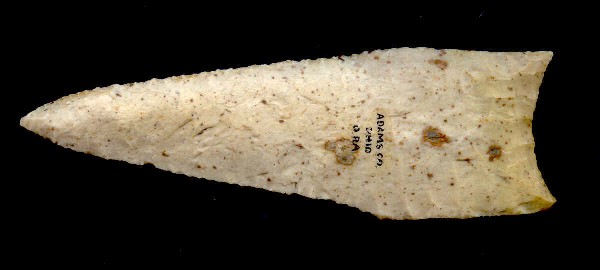 4 7/8" Dalton-type Point. Adams Co, OH: 4 7/8" Dalton-type Point. Adams Co, OH