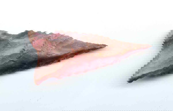 2 3/8" Dalton. Rare fluted barbs. Rogers Paper: 2 3/8" Dalton. Searcy Co, AR. Rare fluted barbs. Rogers Paper