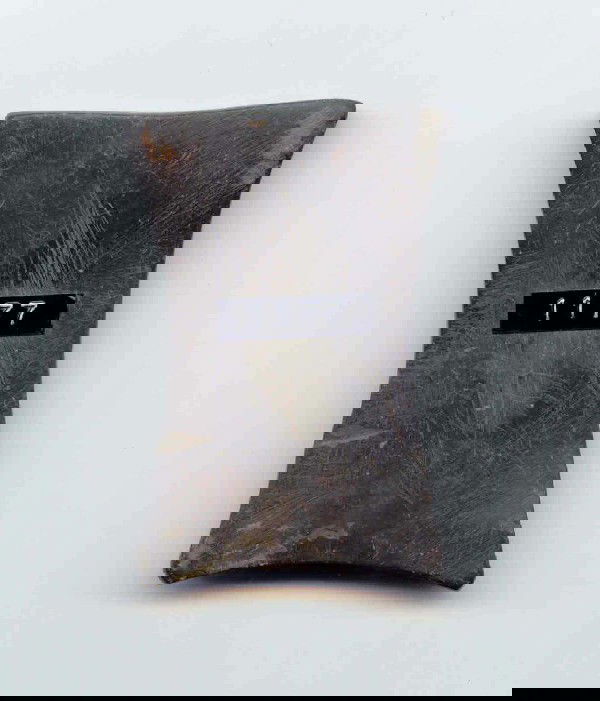 2 5/8" Quadraconcave Gorget. Undrilled. IN: 2 5/8" Quadraconcave Gorget. Undrilled. IN. Ex-Modoc Smith