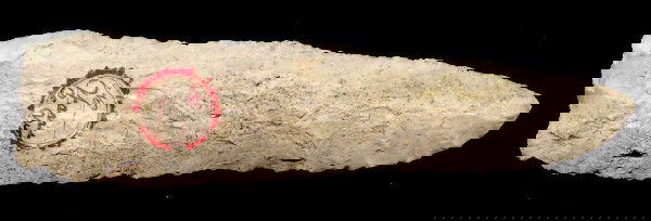 6 7/8" Stanfield. Warren Co, MO. Pictured: 6 7/8" Stanfield. Warren Co, MO. Listed in Dr. Neil 1988 Catalog, lot 113