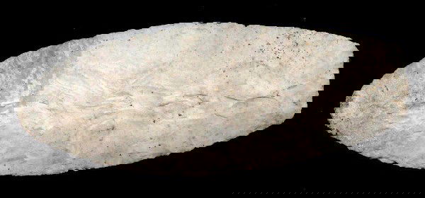 4 2/3" Paleo Lanceolate. IL. Thin, fine: 4 2/3" Paleo Lanceolate. IL. Thin, fine. Ex-Mel Wilkins. Tip may be ground