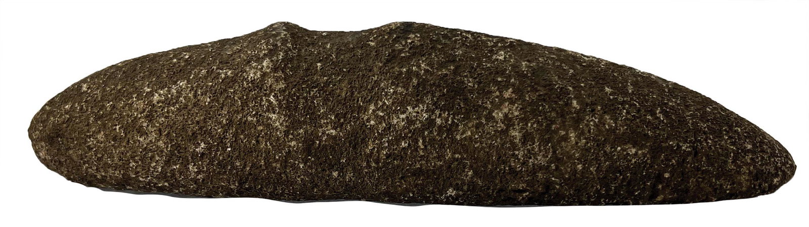 10" Grooved Hardstone Adz.  Maine.  Well made with flat (1 of 4)