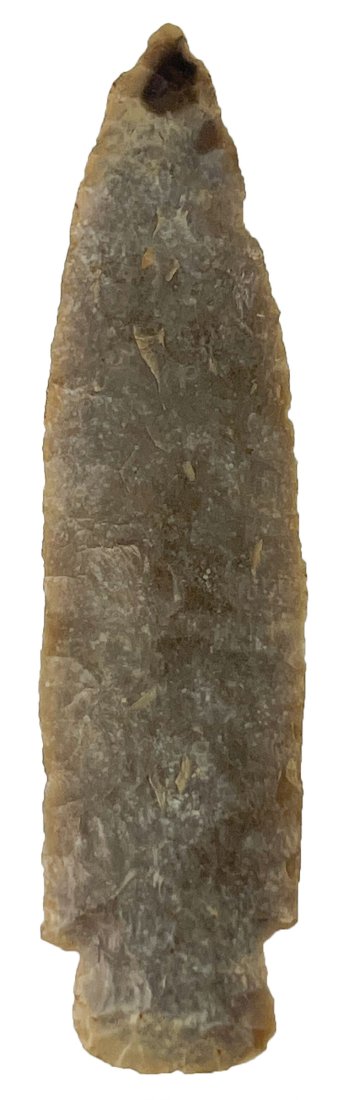 4 7/16" Scottsbluff. Rogers COA.   AR.  Fine example (1 of 4)