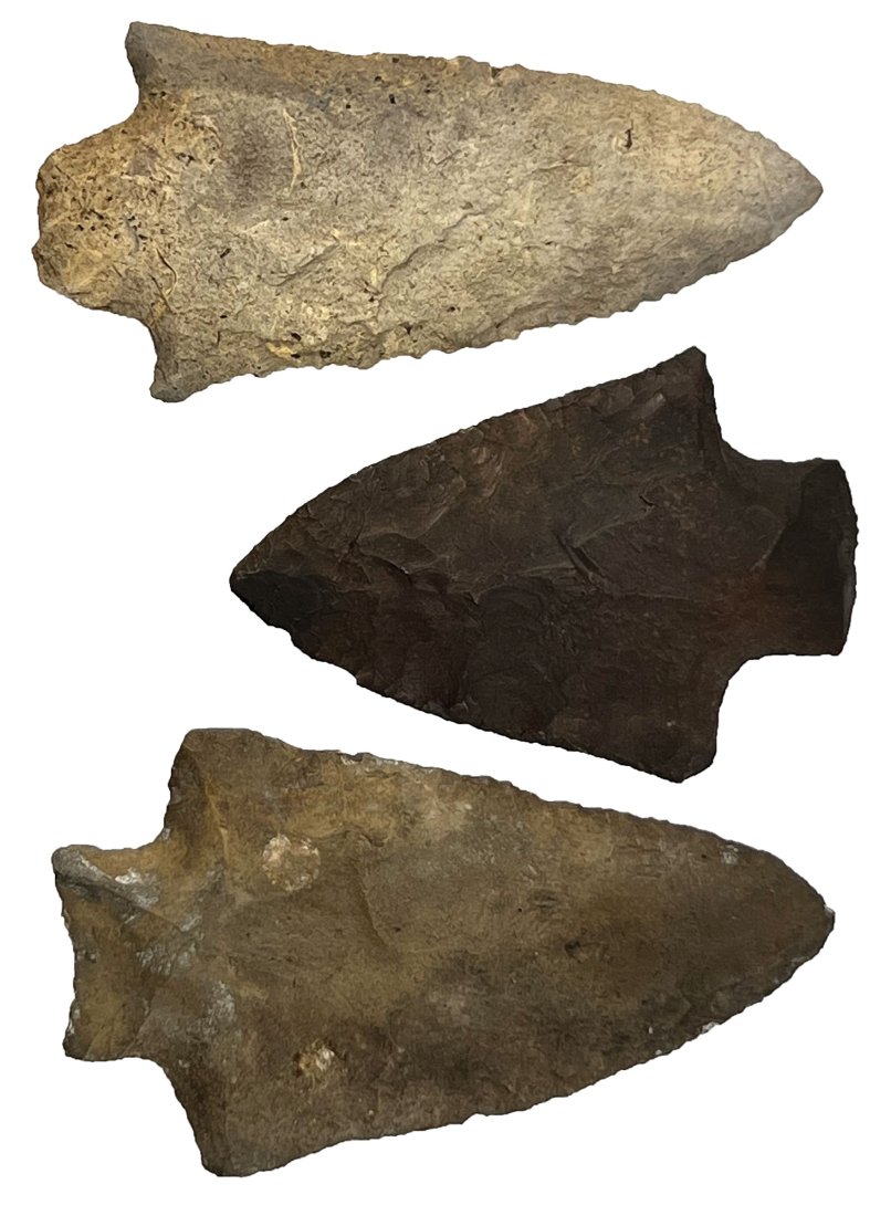 Group of 3 Florida Points.  Dixie Co, FL.   Ex-Russell (1 of 1)