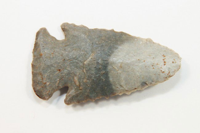 2 5/16" Hardin. Partain, Jackson COA's. IN: 2 5/16" Hardin. Partain, Jackson COA's. IN. Two Tone Wyandotte. Will be pictured in the upcoming book, Partain Relics