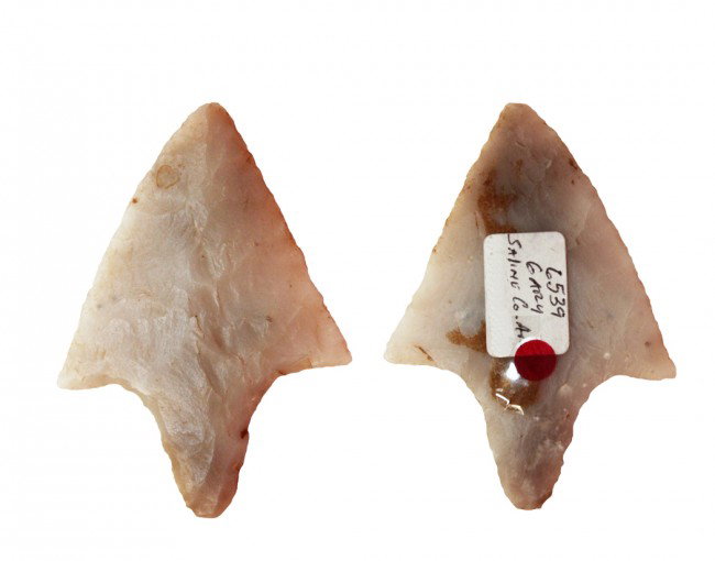 2 1/2" Long Stemmed Gary. Partain COA. Saline Co,: 2 1/2" Long Stemmed Gary. Partain COA. Saline Co, AR. Glossy Novaculite. Will be pictured in the upcoming book, Partain Relics