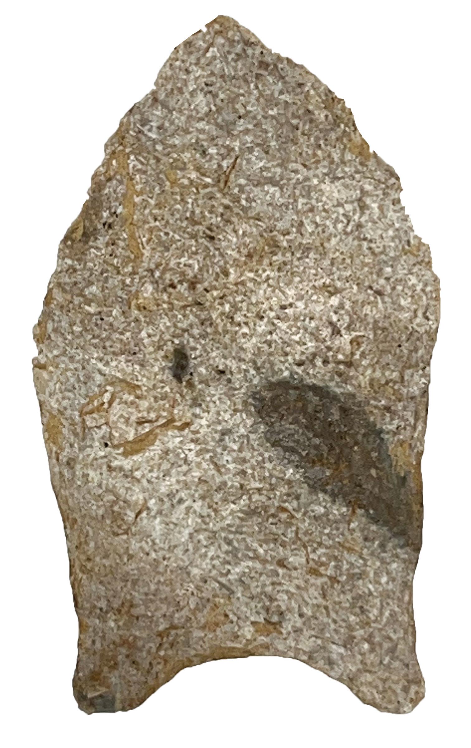 2" Cumberland.  KY.  Davis COA.  Harrodsburg Chert.   Ex-Kevin Pipes. (1 of 3)