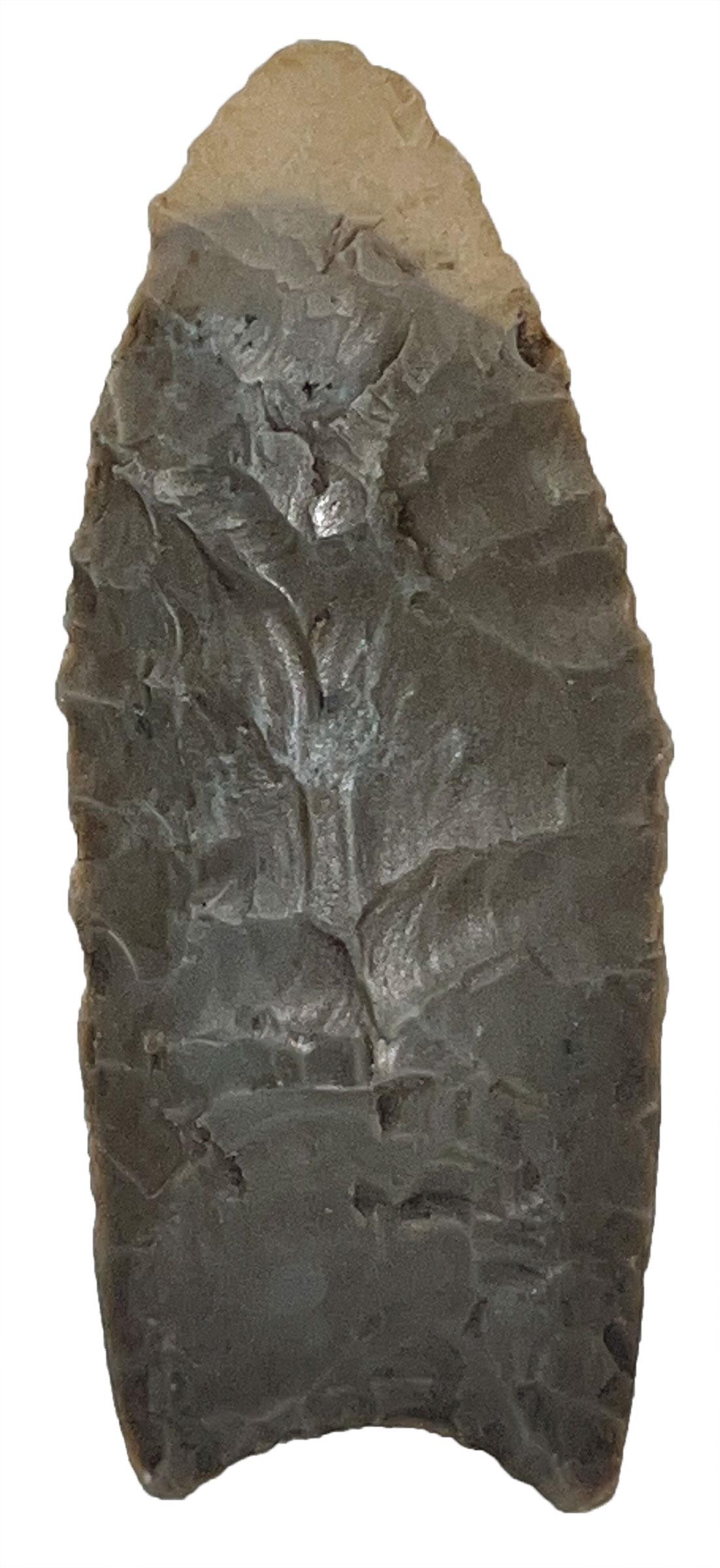 2 3/4" Clovis.  Posey Co, IN.  Hornstone with light gray tip.  COA (1 of 4)