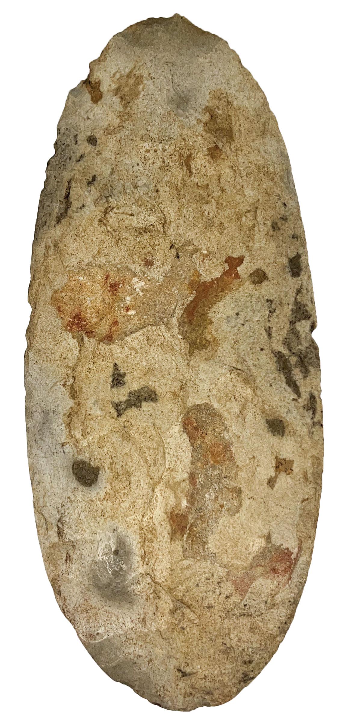 11" Spade.  St. Clair Co, IL.  Large, well made with fine symmetry. (1 of 4)