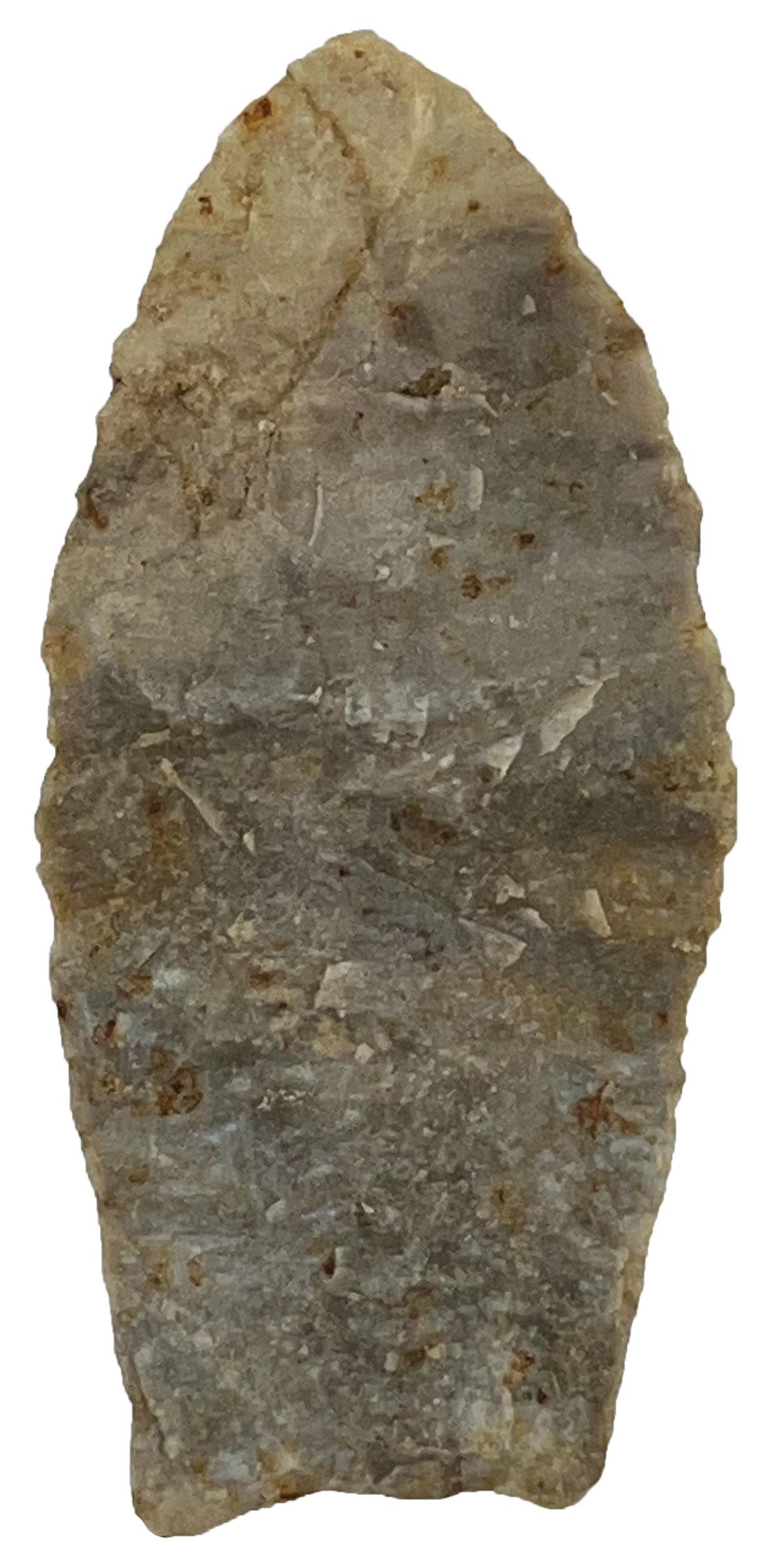 3 3/16" Clovis. Muskingum Co, OH. Coshocton. Putty G9 COA (1 of 3)