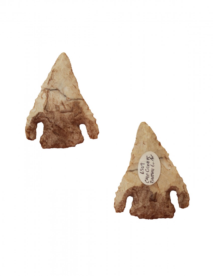 2 1/16" Calf Creek. Baxter Co, AR. Partain Paper: 2 1/16" Calf Creek. Baxter Co, AR. Long, droopy ears. Hard to find artifact type. Partain Paper. Will be pictured in "Partain Relics"