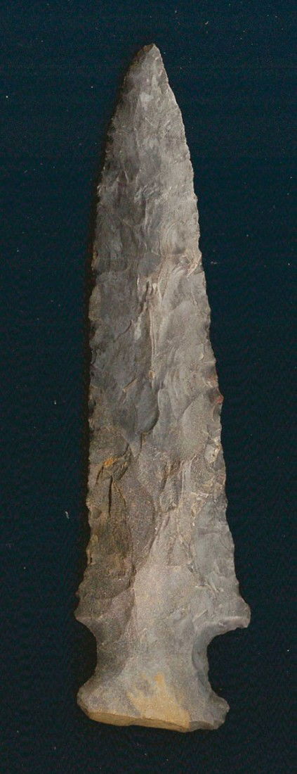 4 7/16" Motley. Devil's Playground Site. Partain: 4 7/16" Motley. Found at the Devil's Playground Site in Warren Co, TN. Partain COA