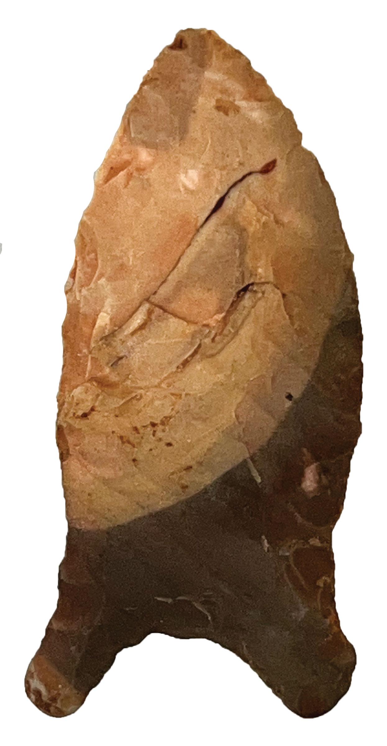 2 3/16" Quad.  Greene Co, AR.  Good condition.  Stermer COA (1 of 3)