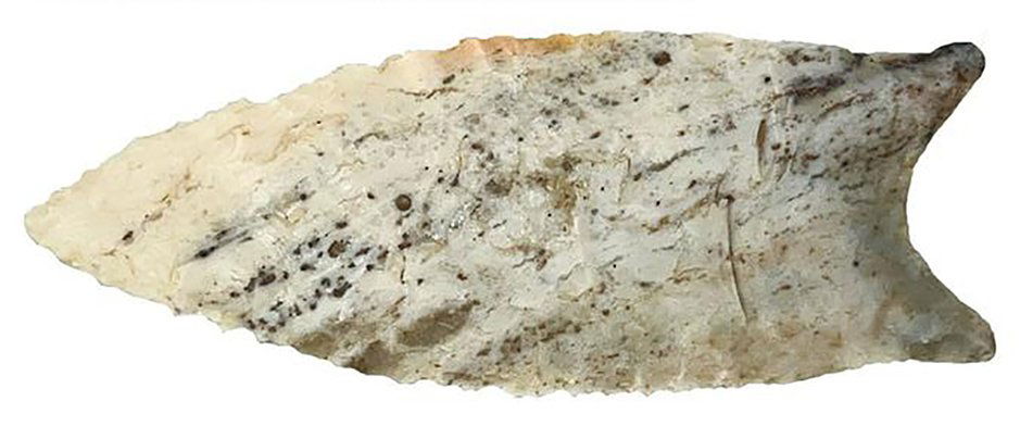 3 1/8" Dalton.  Woodford Co, IL.  Glossy and colorful Avon Chert. (1 of 4)