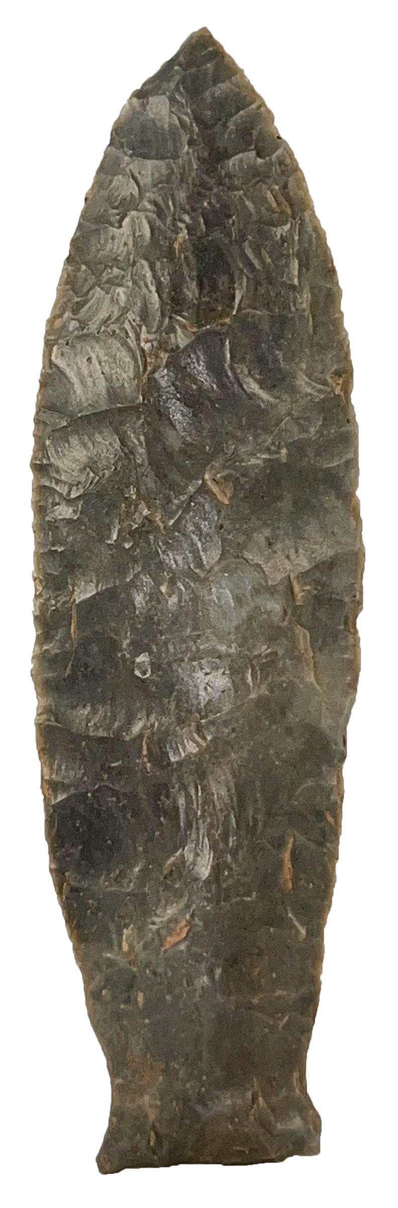 4 1/2" Beaver Lake.  Davis G9 COA.  Large Paleo point (1 of 3)