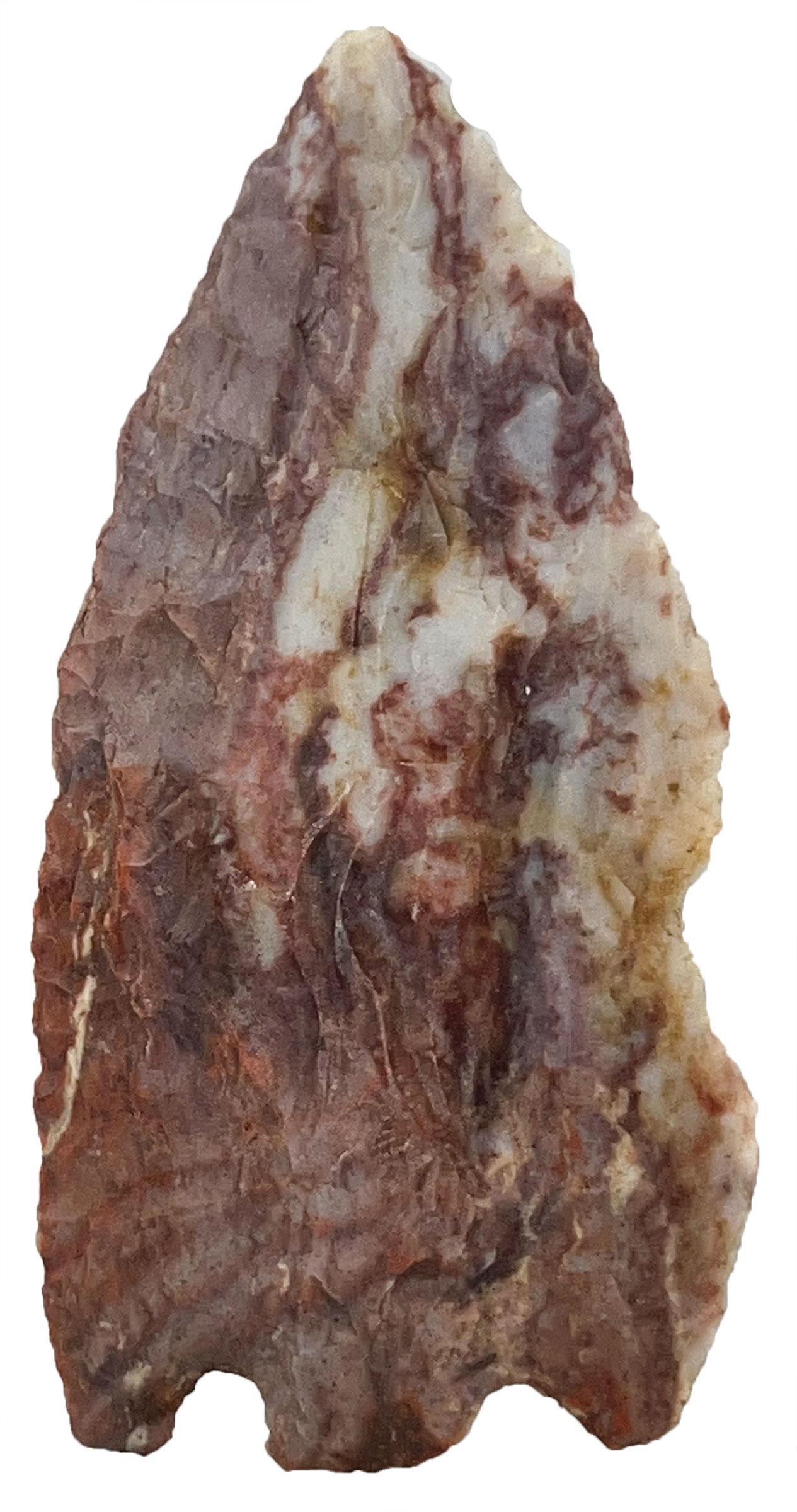 3 5/8" Basal Notch.  Eastern Colorado.  Stermer COA (1 of 3)