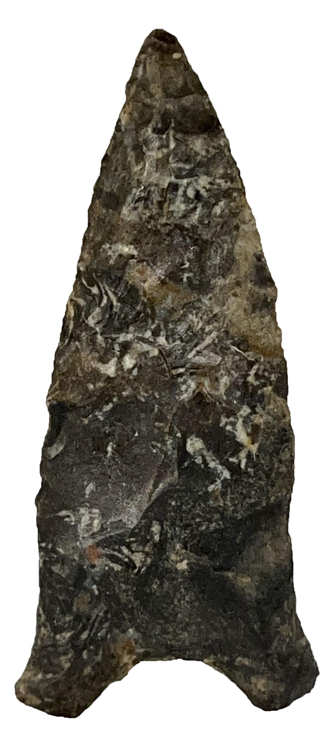 2 5/8" Quad.  Todd Co, KY.  Colorful Fossil Chert.   Jackson COA (1 of 3)