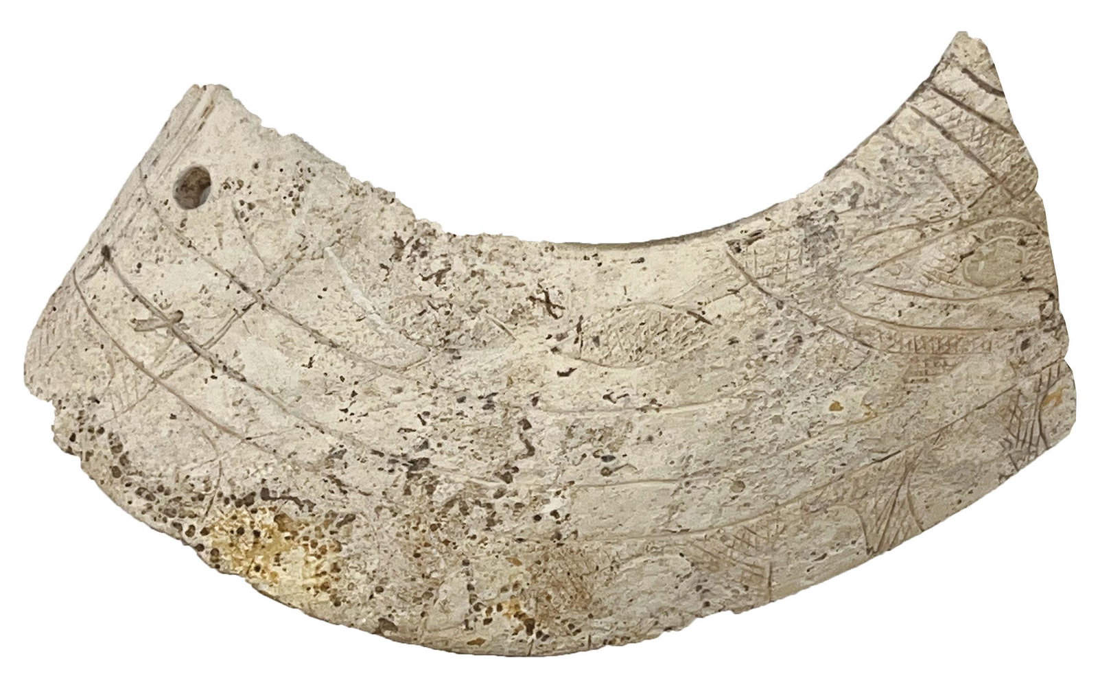 5 7/8" Heavily Engraved Shell "Collar". Spiro Mound.  Ex-Dilley (1 of 6)