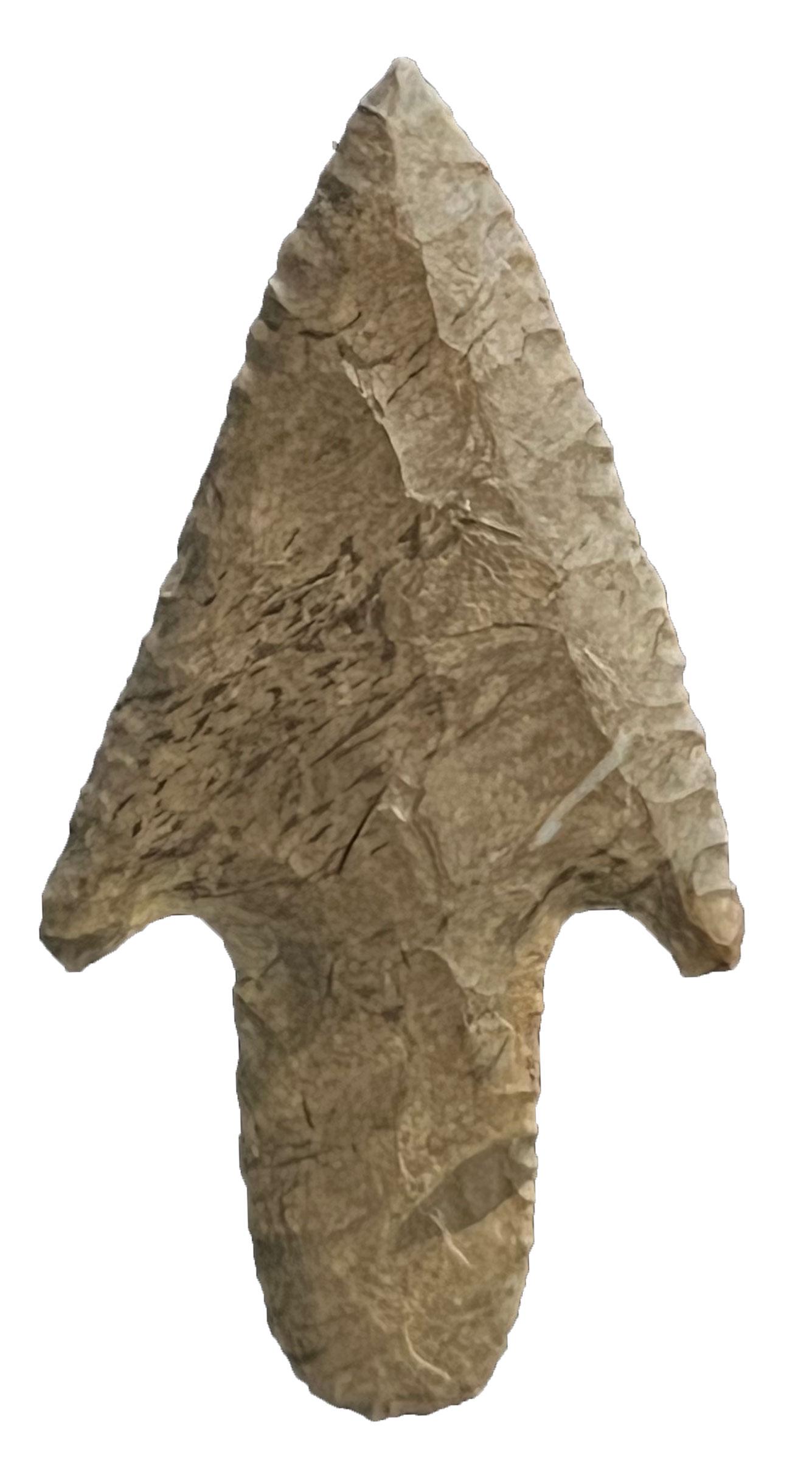 2 1/2" Beavertail Adena. TN. Wafer thin, long extending stem. Dover. Ex-Bill Smith. Putty G9: 2 1/2" Beavertail Adena. TN. Wafer thin, long extending stem. Dover. Ex-Bill Smith. Putty G9 COA