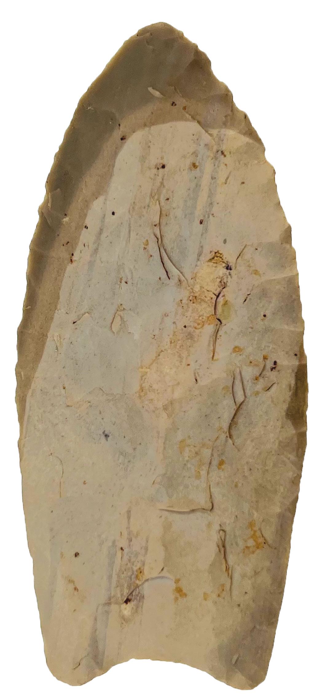 3 1/8" Clovis.  Crawford Co, IN.  Light gray Hornstone with dark tip.  Vey thin, less than ,25" (1 of 3)