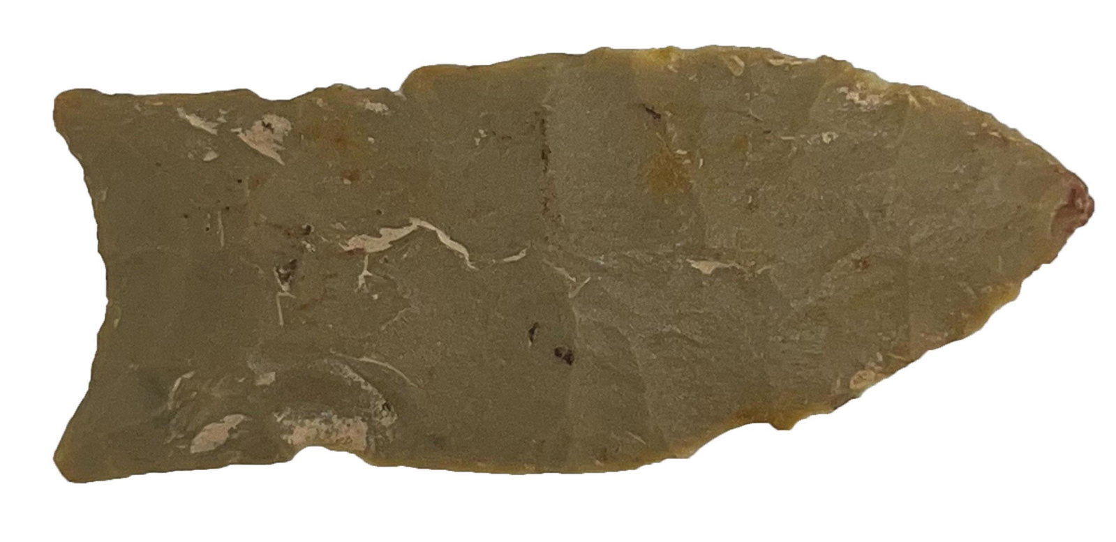 2 1/4" Arkabutla. Jefferson Co, KY. Very thin (.13" max). Perino COA: 2 1/4" Arkabutla. Jefferson Co, KY. Very thin (.13" max) and well flaked. Glossy green chert (looks like Indiana Green). Late Paleo. Ex-Glenn McQuaide, Jim Hale. Perino COA