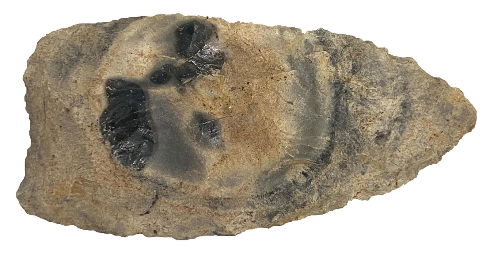 4 1/4" Paleo Knife. Brown Co, OH. Hornstone, deep blue spots. Jackson COA: 4 1/4" Paleo Knife. Brown Co, OH. Hornstone with circular patterns and deep gray spotting. Thin. Ex-Glenn McQuaide. Jackson COA