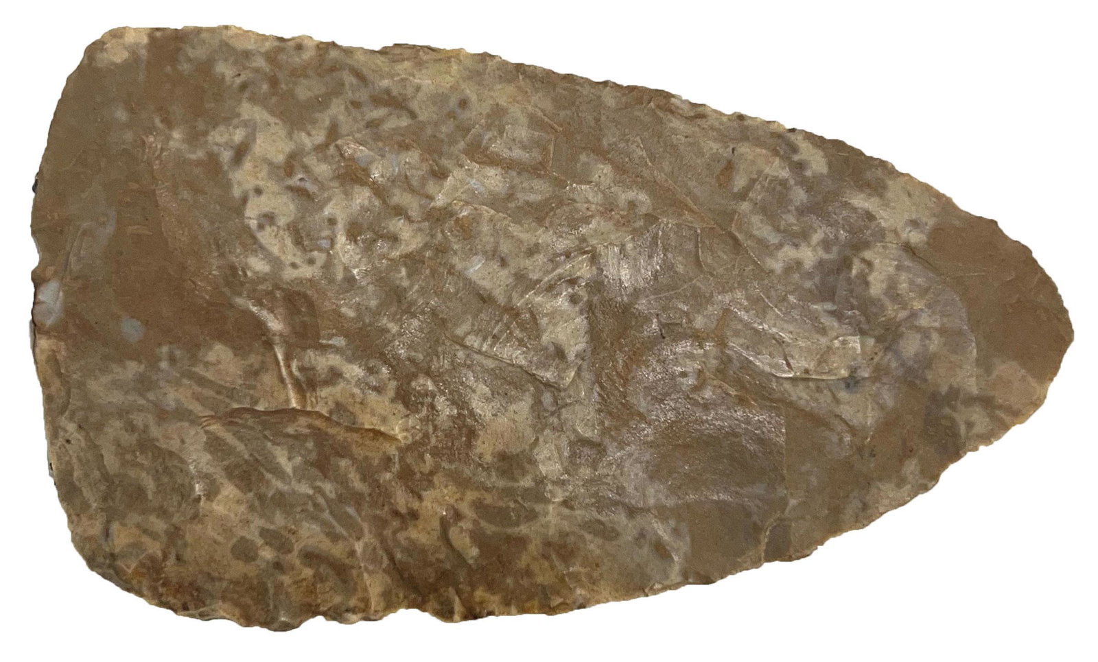 4 3/8" Cobbs Triangular Knife. Perino COA. KY. Thin, max thickness .23".: 4 3/8" Cobbs Triangular Knife. Taylor Co, KY. Thin, max thickness .23". Pretty mottled Ft. Payne. Ex-Glenn McQuaide. FB Kenneth Williams. Perino COA