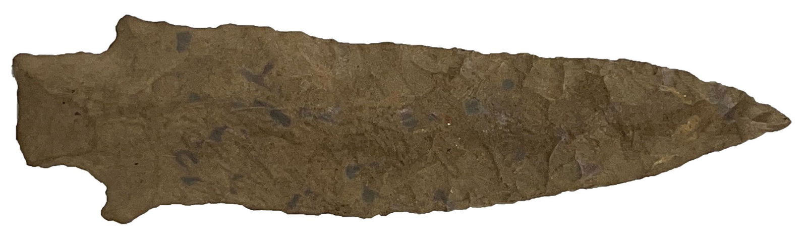 4 3/16" Mulberry Creek. Perino COA. Van Buren Co, TN. Hard to find type. Dover: 4 3/16" Mulberry Creek. Van Buren Co, TN. Hard to find type. Dover. Good condition. Ex-Glenn McQuaide. Found by Dan Strader. Perino COA