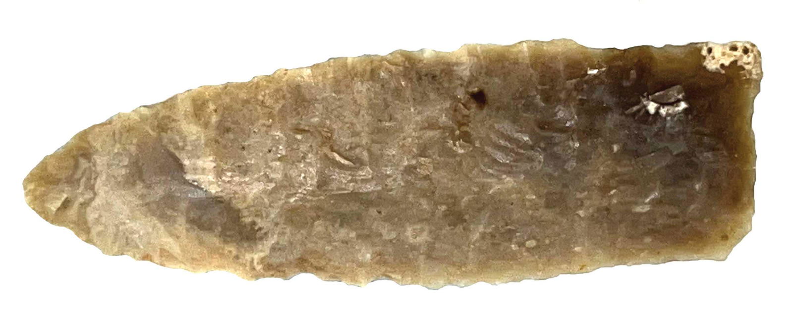 1 7/8" Eden.  Rogers COA. Colorado.  Very thin and well flaked.  Precise edgework (1 of 3)