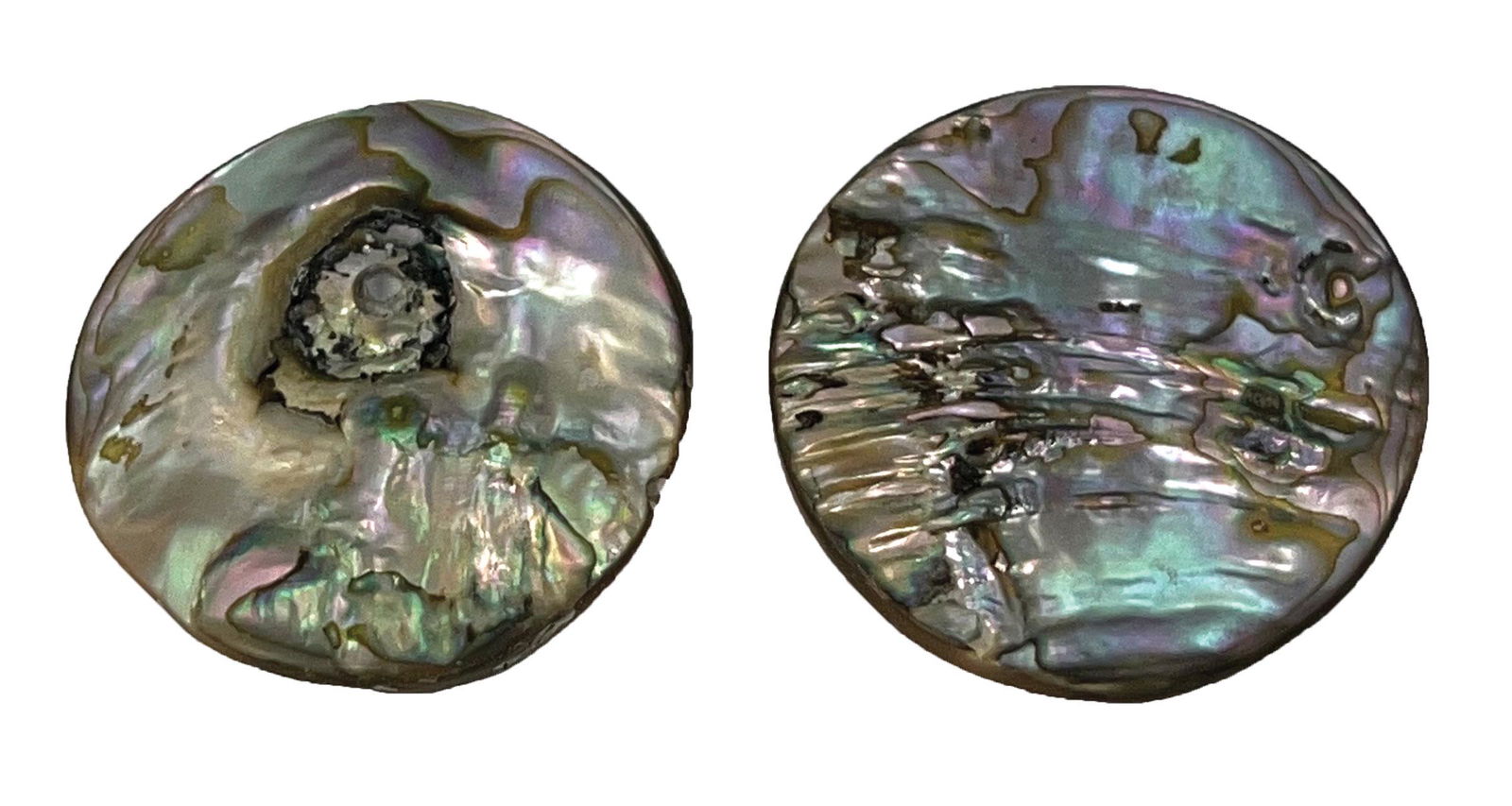 Two 2" Abalone Shell Discs.  LeFlore Co, OK.  Spiro focus.  Displayed.  Ex-Ken Partain (1 of 4)