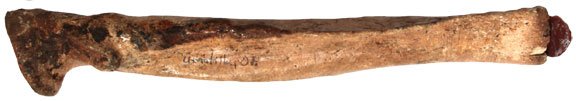 8 3/8” Bone Hafted Flint Tool. Umatilla, OR. Rare: 8 3/8” Bone Hafted Flint Tool. Umatilla, OR. Very rare. Ex-Kevin Pipes Collection