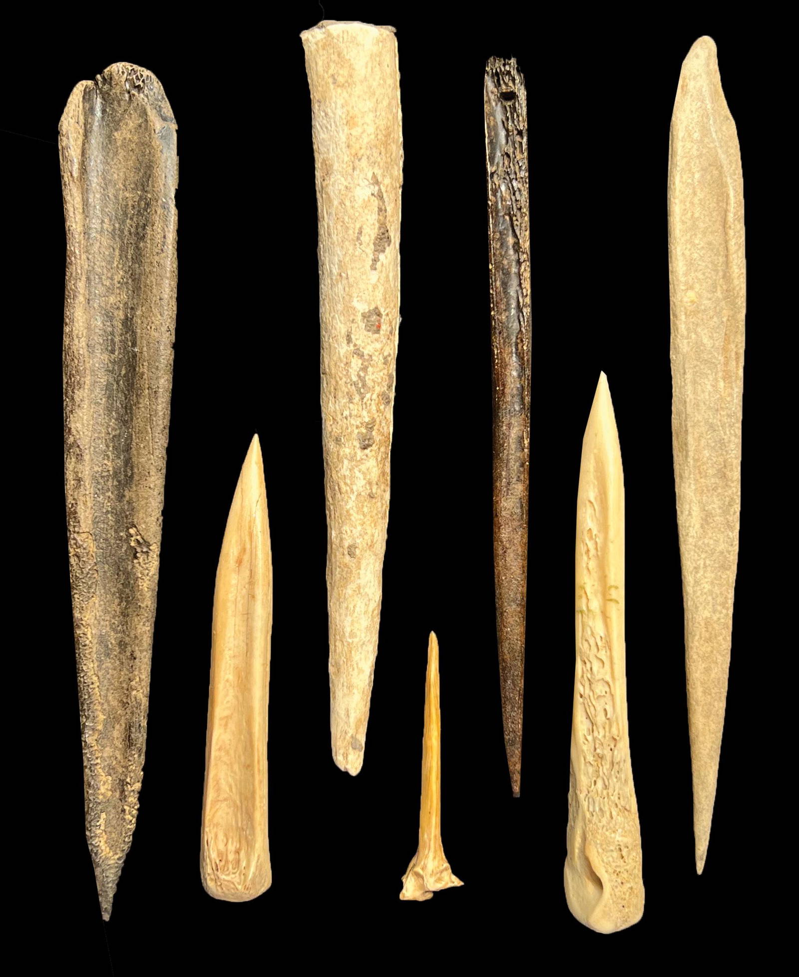 7 Bone Awls (1 3/4" To 5 1/2"). Spiro Mound, Leflore Co, Ok. Exlonnie