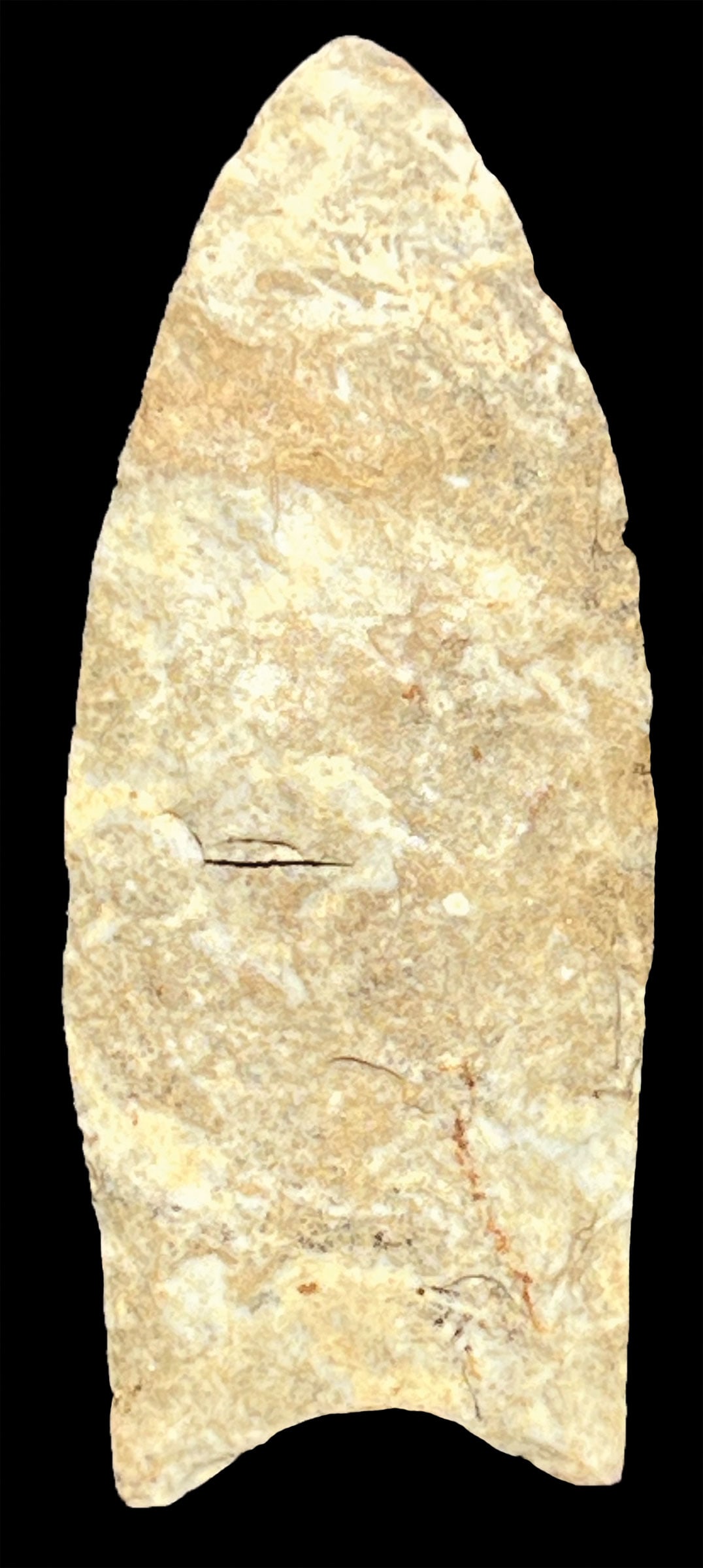 Colorful 2 5/8" Clovis.  Breckinridge Co, KY.  Vivid Ft. Payne. Fluted.  Davis COA (1 of 3)