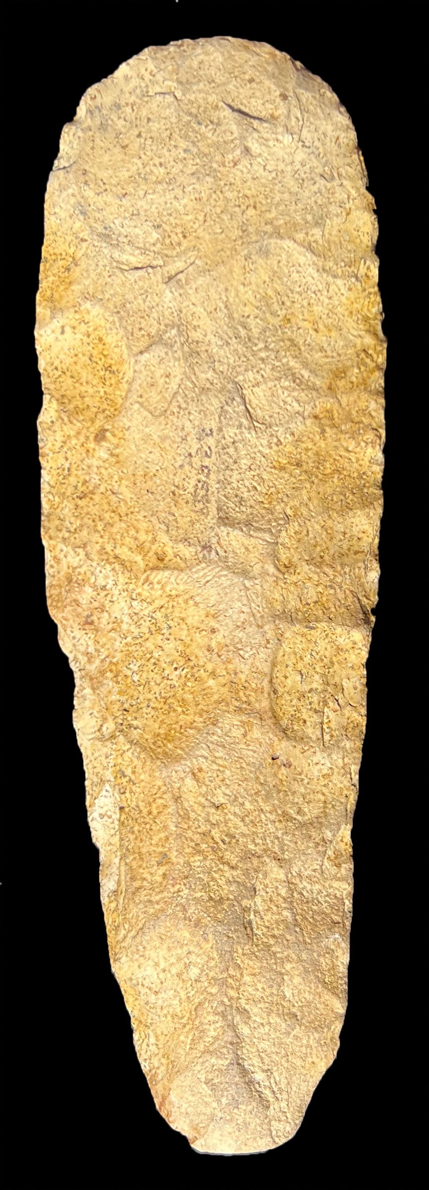 8" Flint Celt.  Pettis Co, MO.  Well made of speckled tan chert.  Ex-Steve Ford.  Bennett COA (1 of 3)