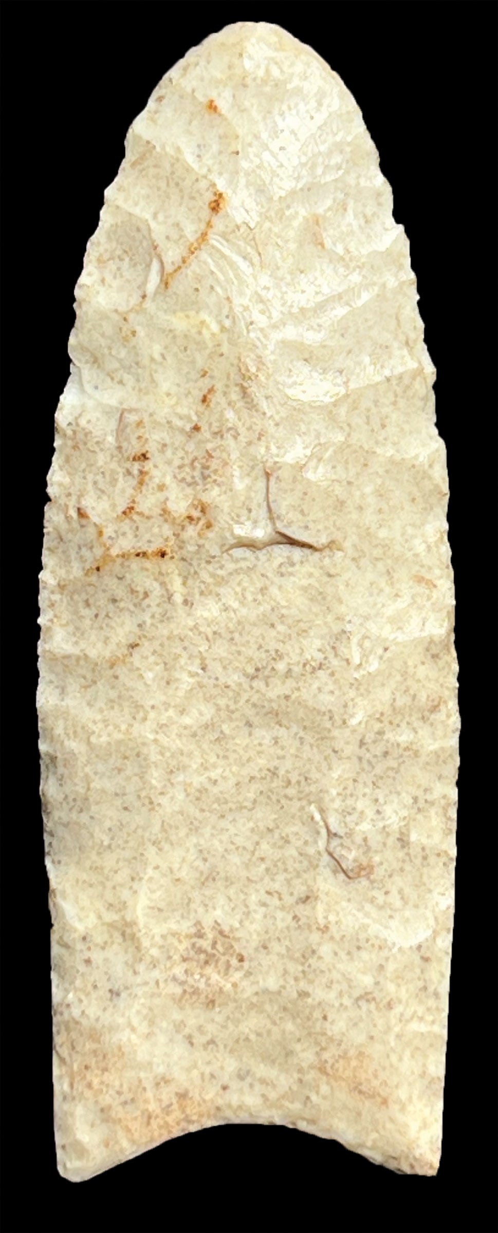 3 1/16" Clovis.  Grayson Co, KY.  Well fluted.  Ex-Dale Rector.  Putty G10 COA (1 of 4)