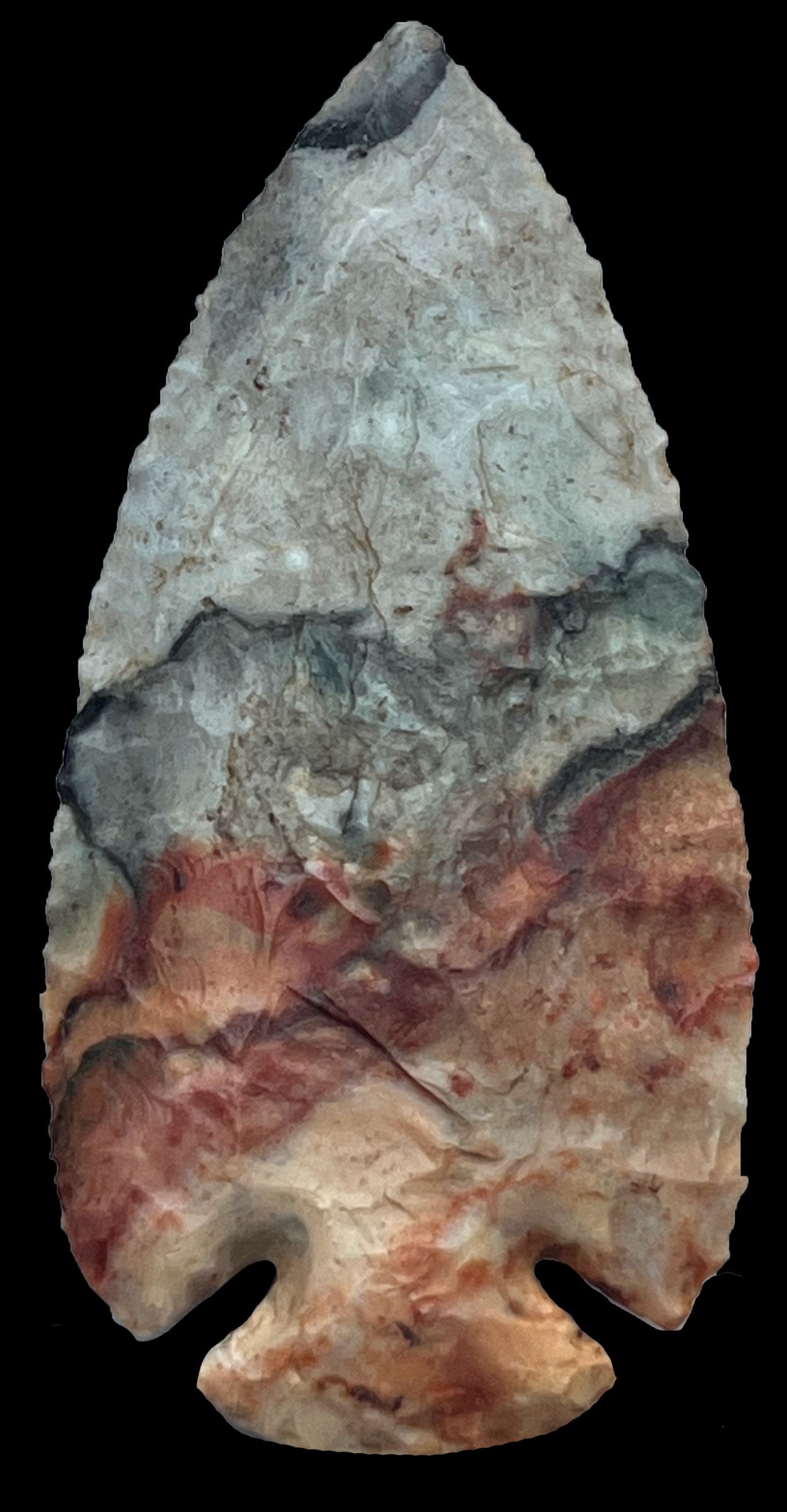 3 9/16" Dovetail.  Fulton Co, IL.  Striking variegated chert.  Stand out in any frame.  G10.  Rogers (1 of 4)