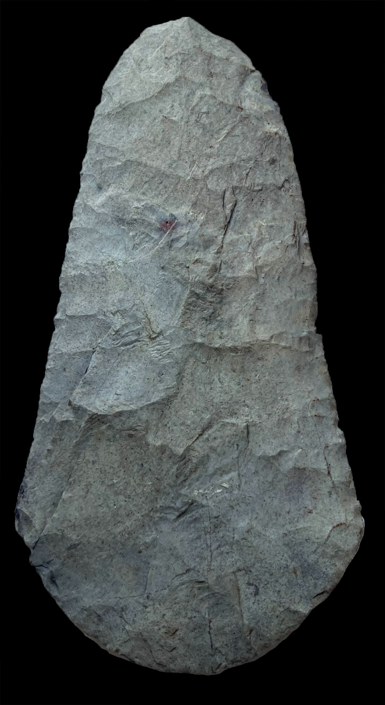 10 3/8" Mill Creek Flared Bit Spade.  Southern Illinois.  Thin, well shaped.  Ex-Nick Gatses (1 of 4)