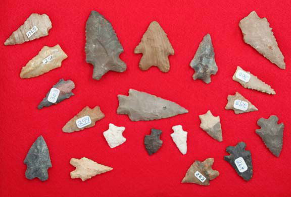 Group of 20 Kirks & McCorkles. 2 have COAs: Group of 20 Kirks & McCorkles. KY/TN. 1”-2 1/2”. 2 have COAs. Ex-Dr. Ryan