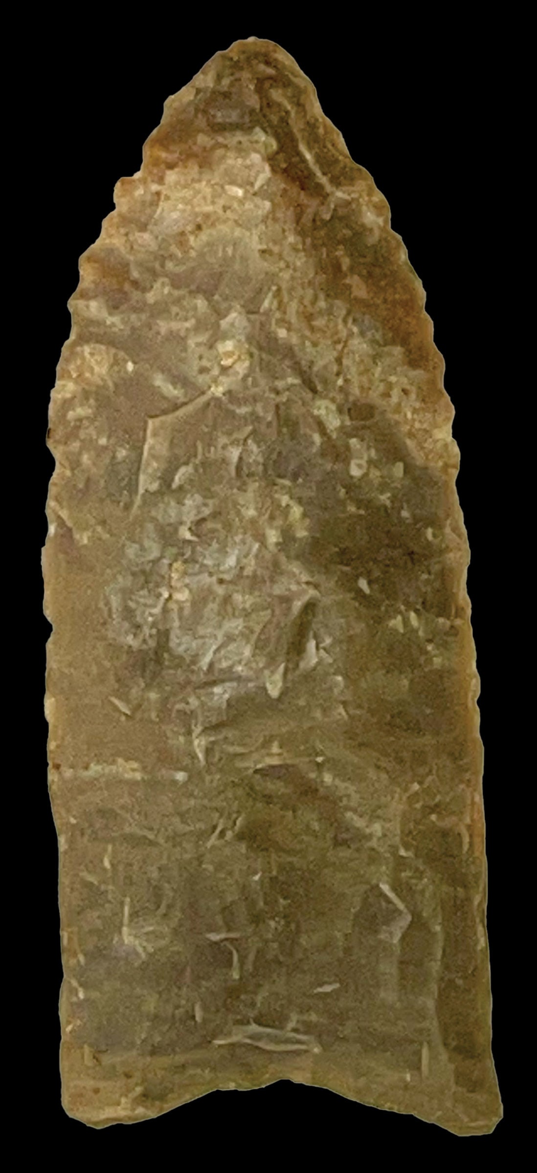 2 11/16" Clovis. White and gray Ft. Payne Chert. Ex Dale Rector (1 of 4)