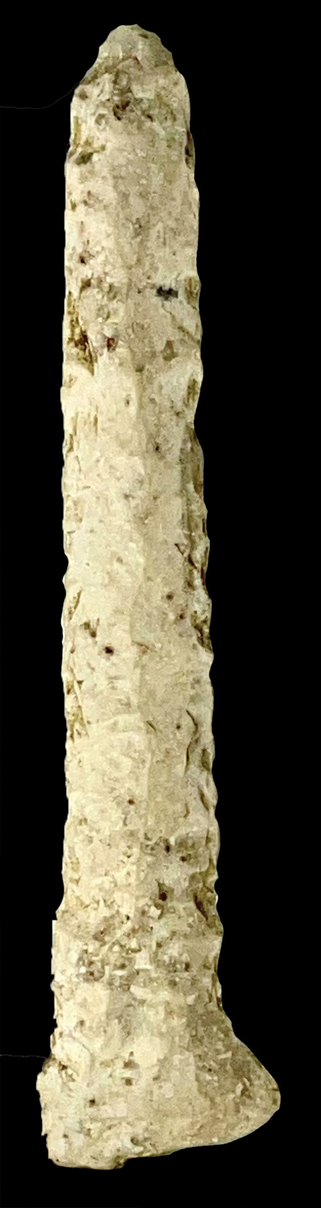 4 1/4" Archaic Drill. Cream Color Chert. Georgia. Rogers COA (1 of 3)