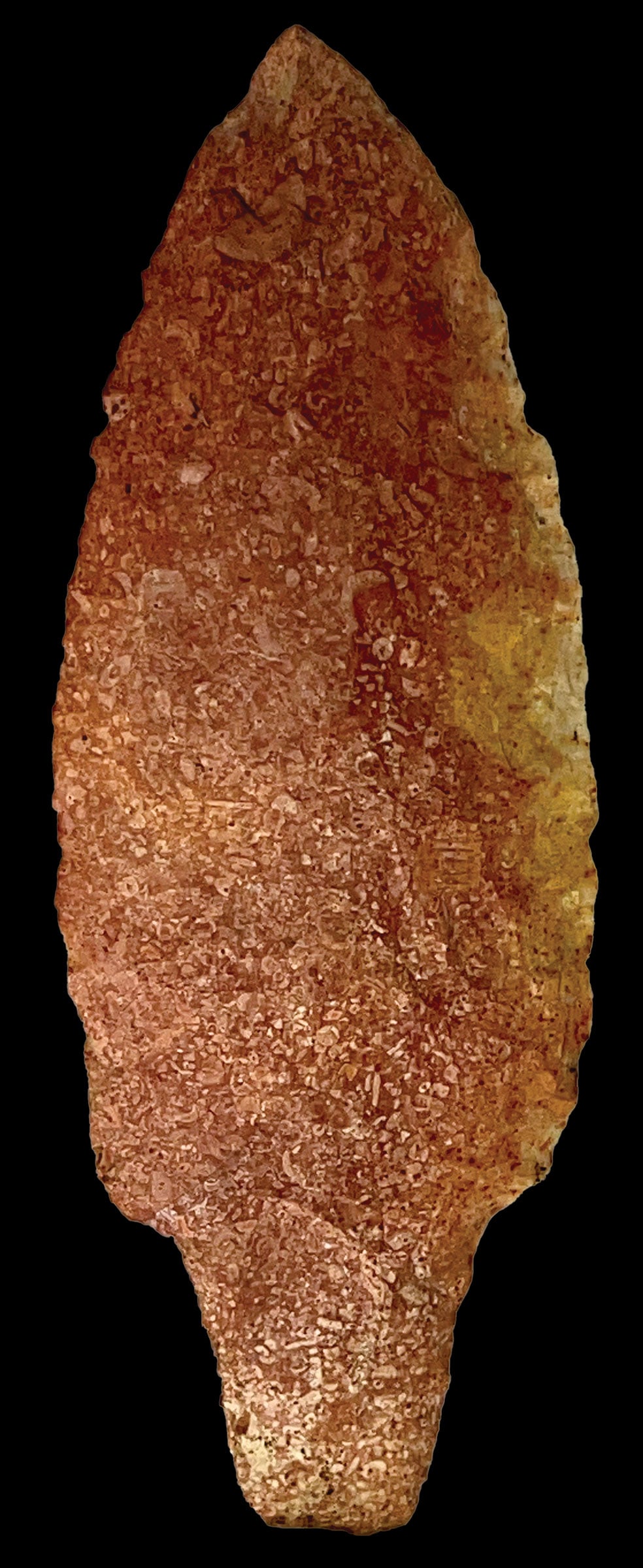5" Adena Blade. Fulton Co, MO. Ex Dale Rector: 5" Adena Blade. Heat treated Burlington Chert. Fulton Co, MO. Ex Dale Rector