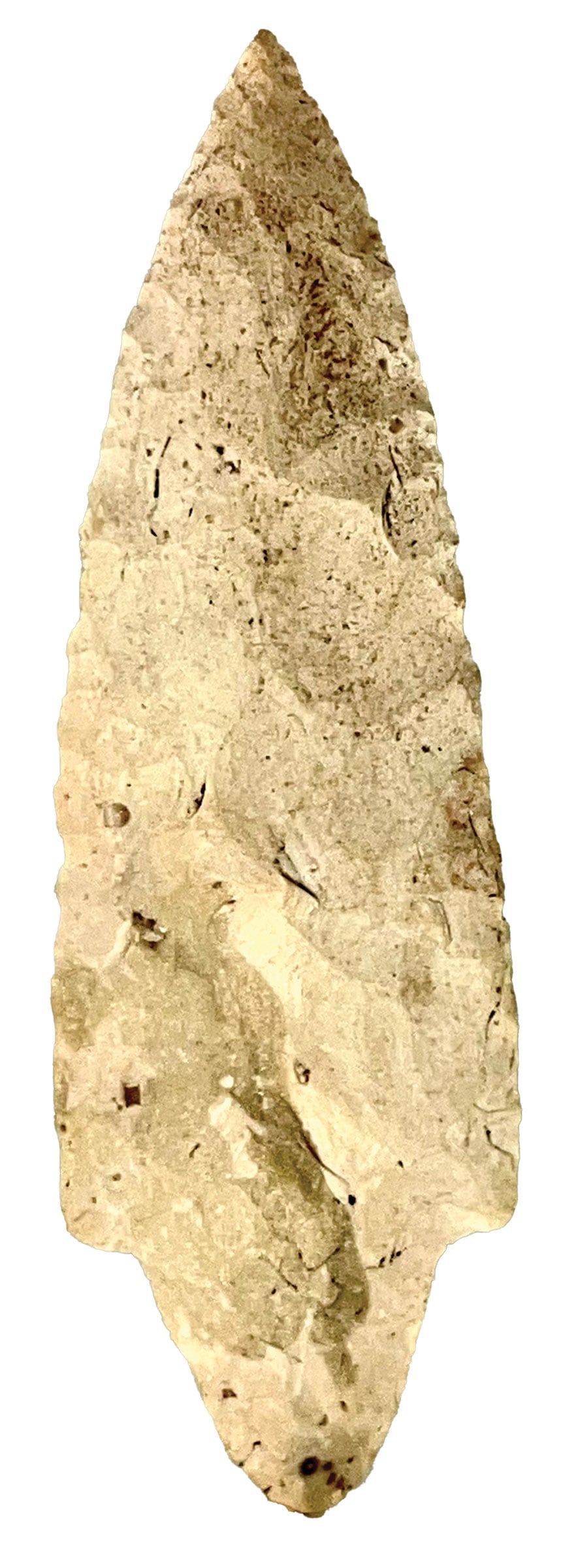 5 3/4" Adena. White Glossy Burlington Chert. Rogers COA (1 of 3)