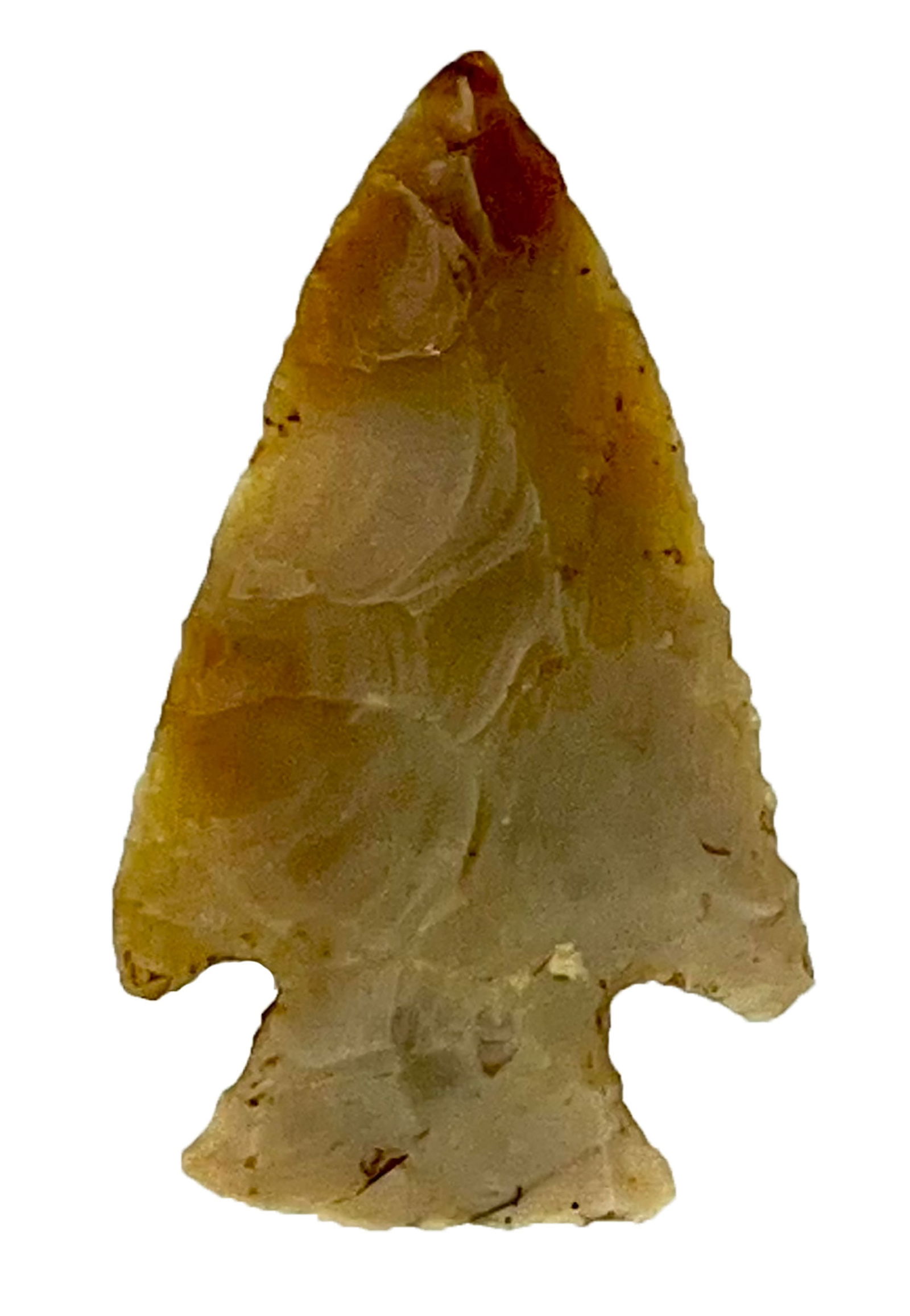 2 1/2" Small Variety Hopewell. Decatur Co, IN. Dickey COA (1 of 3)